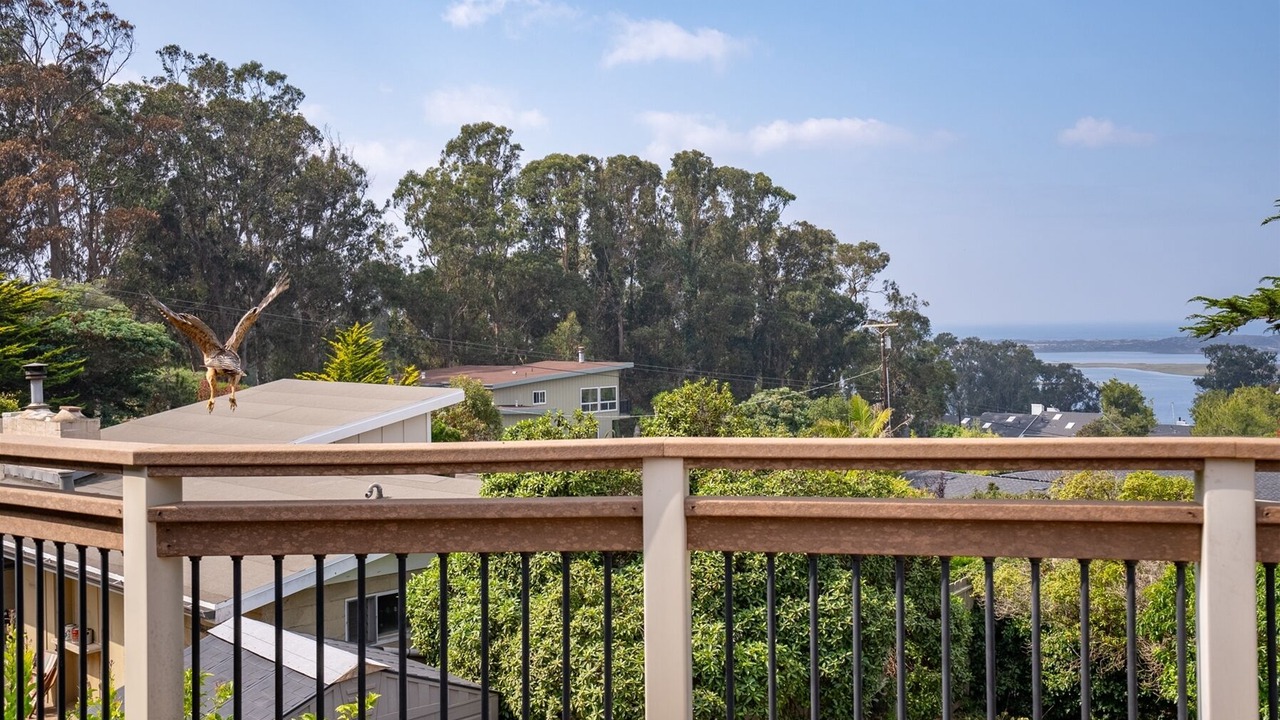 Photo of Outdoor in Morro Bay