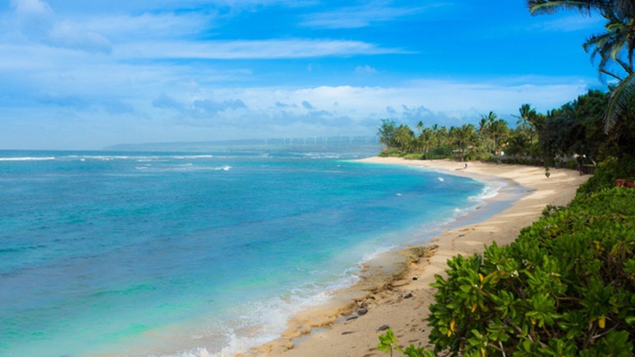 Photo of Others in Mokuleia