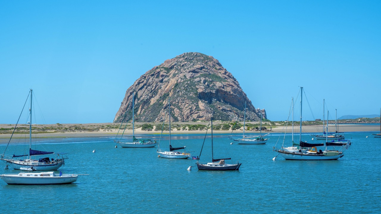 Photo of Others in Morro Bay