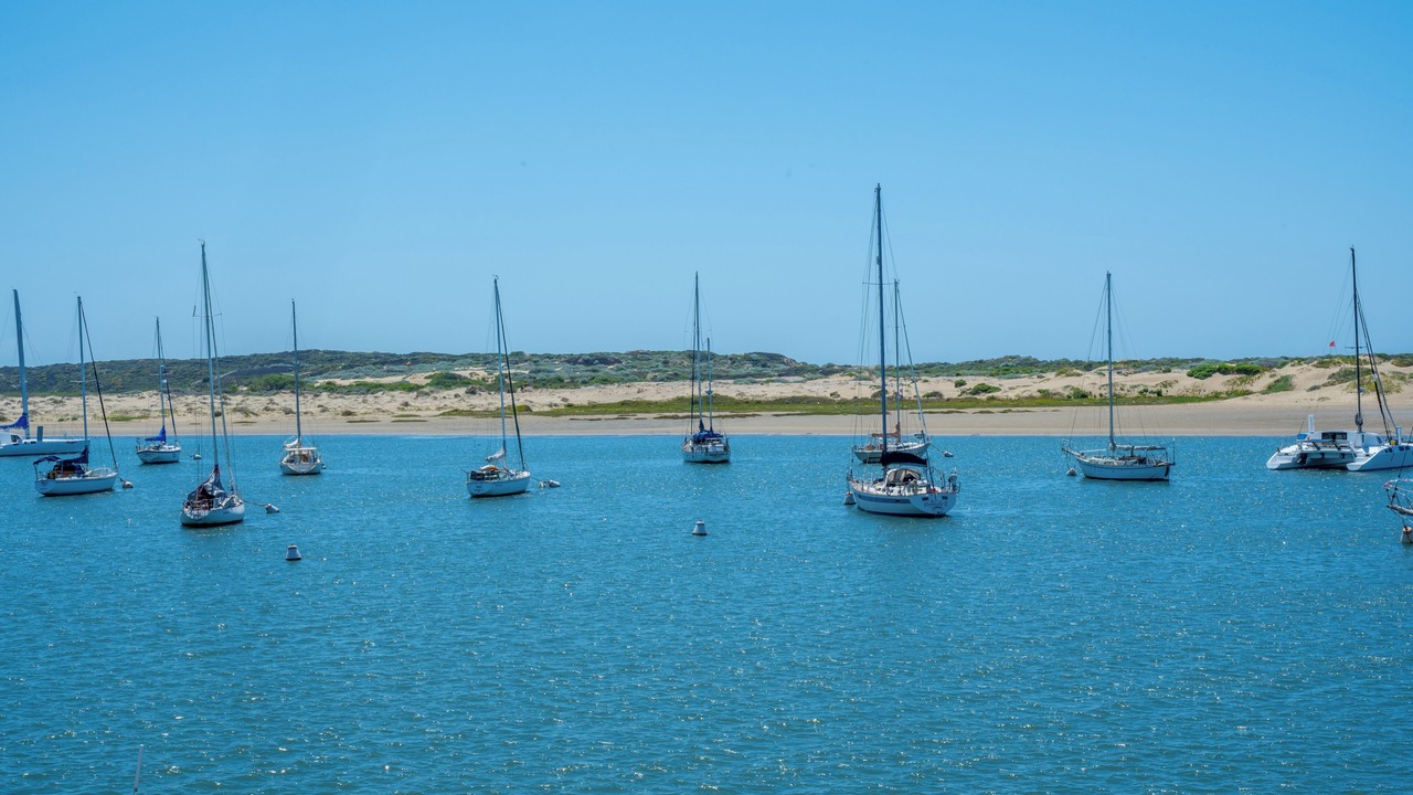Photo of Others in Morro Bay