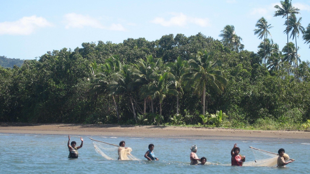 Photo of Others in Savusavu