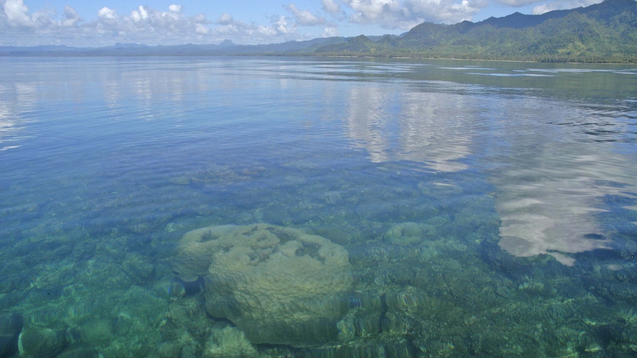 Photo of Others in Savusavu