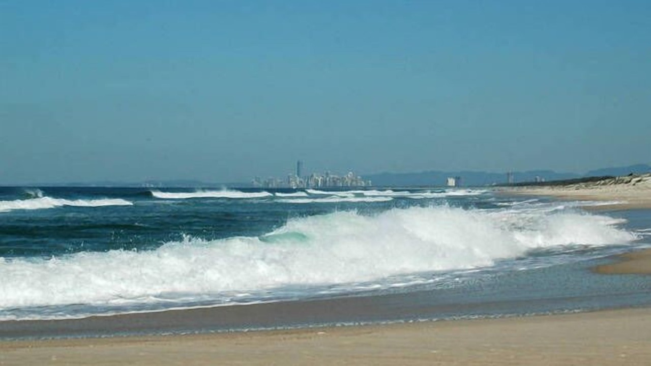 Photo of Others in Gold Coast