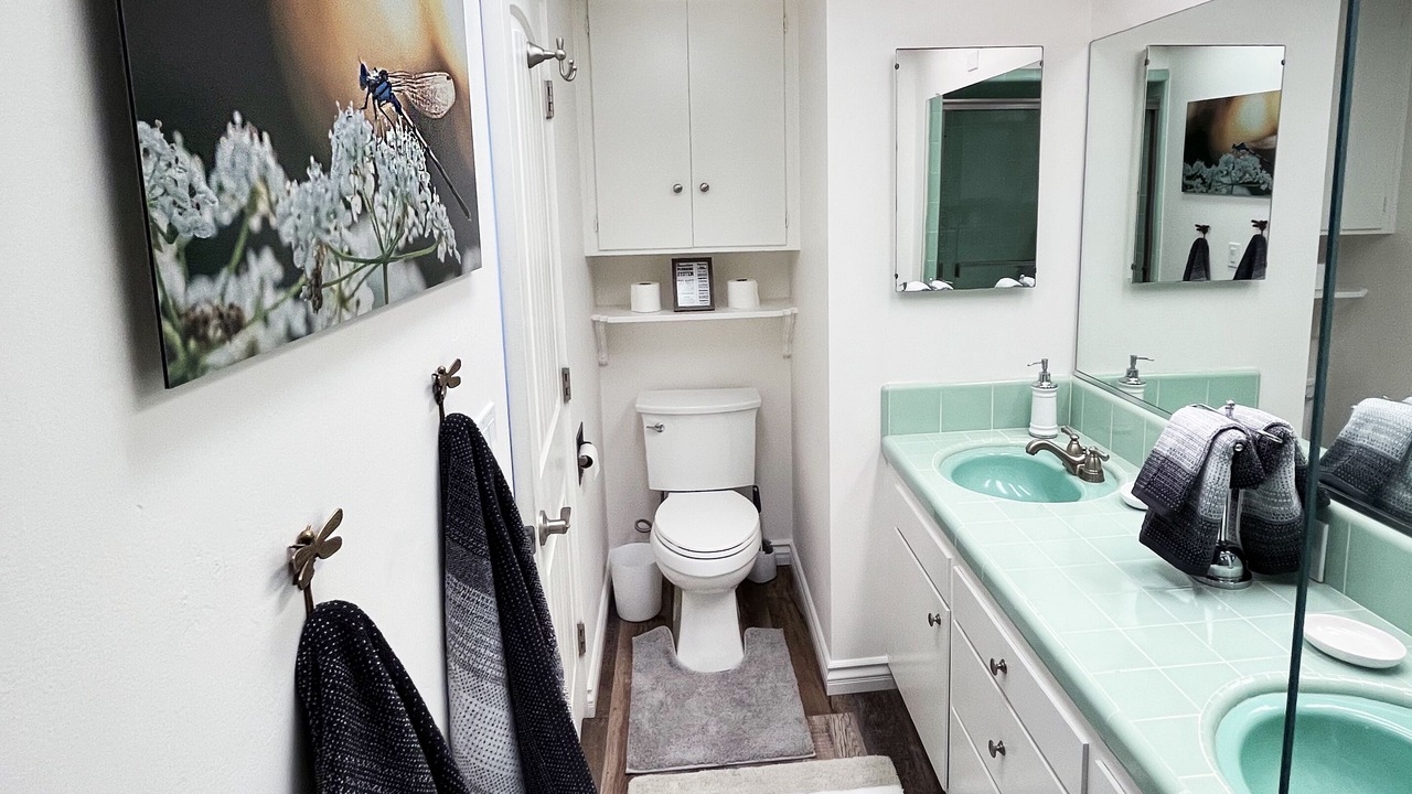 Photo of Bathroom in Cienega Springs