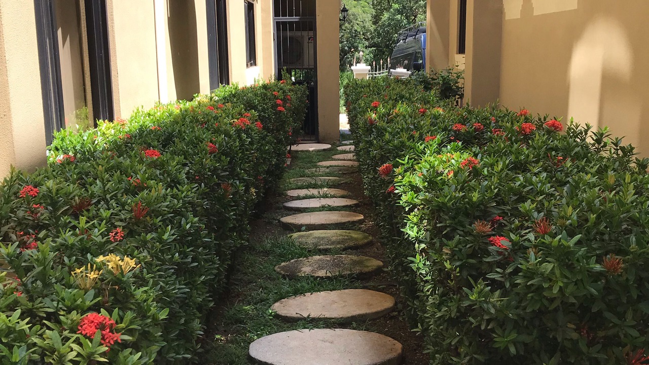 Photo of Outdoor in Playa Langosta