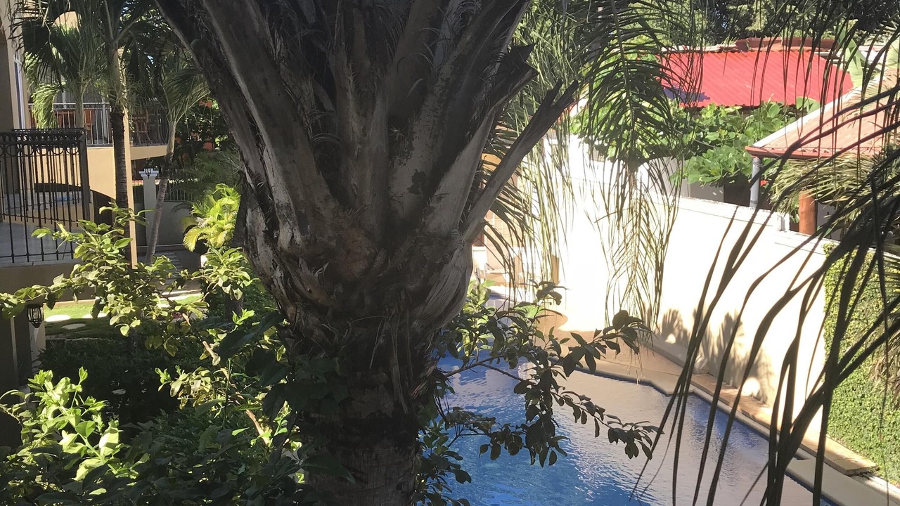 Photo of Patio Balcony in Playa Langosta