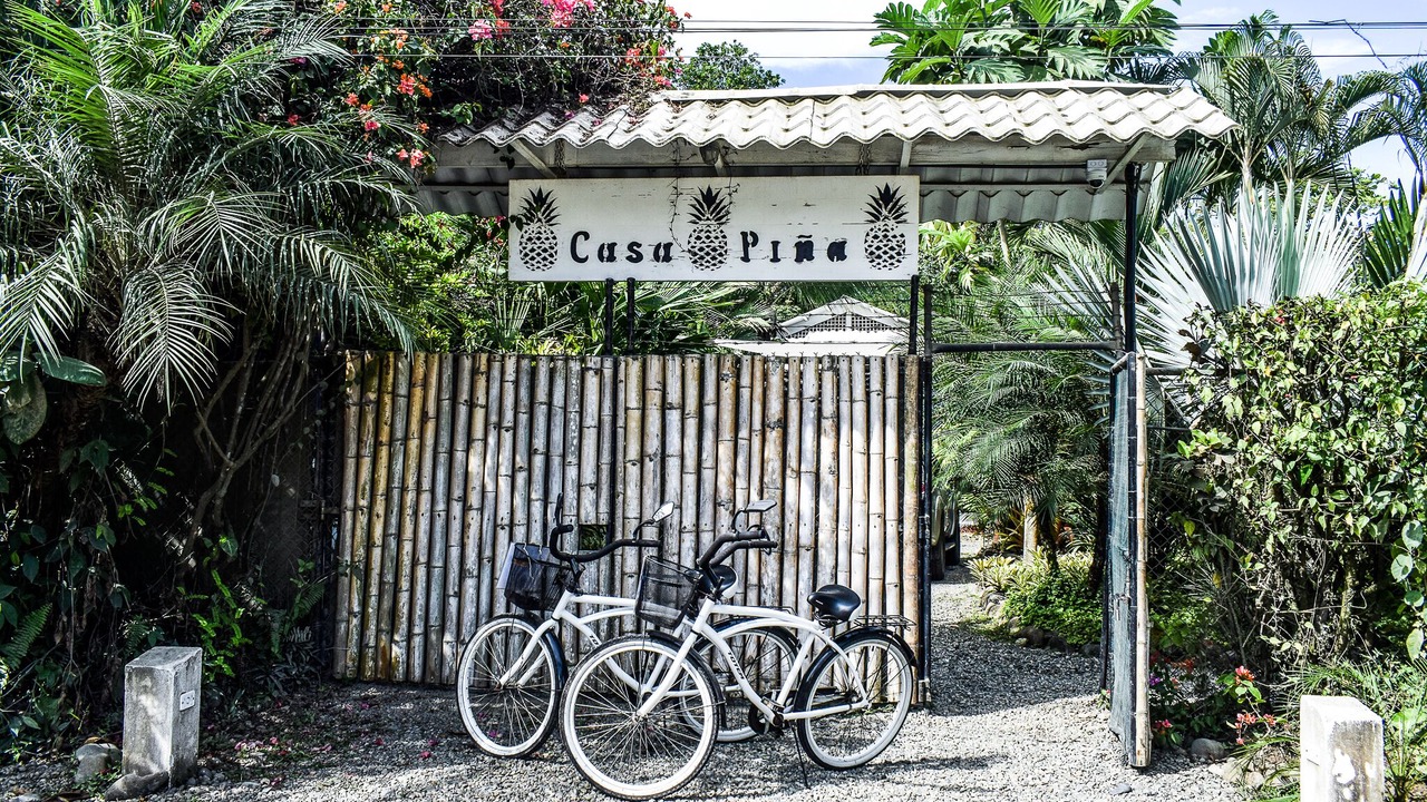 Photo of Others in Puerto Viejo de Talamanca