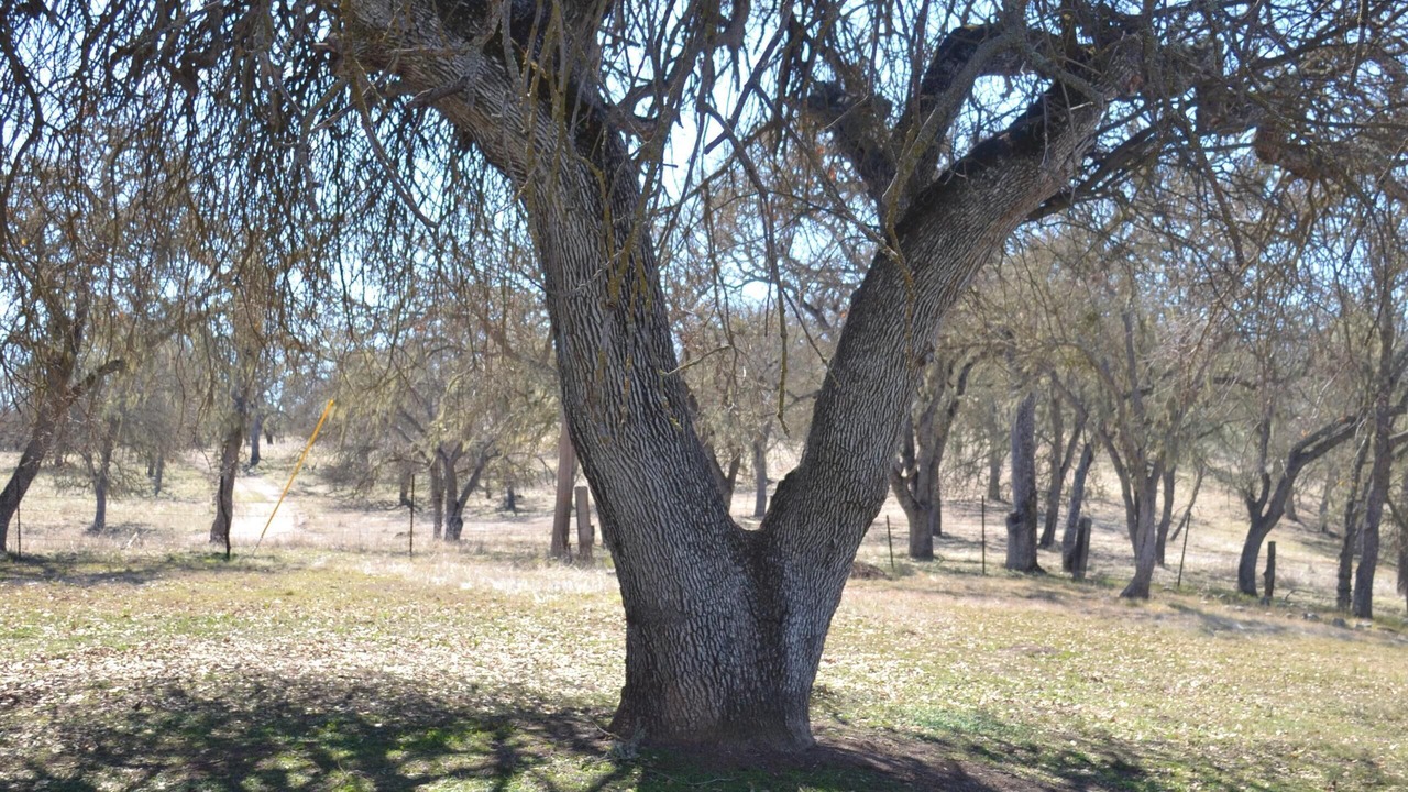 Photo of Others in Creston