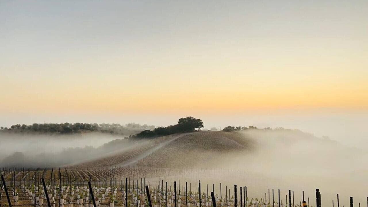 Photo of Others in Paso Robles
