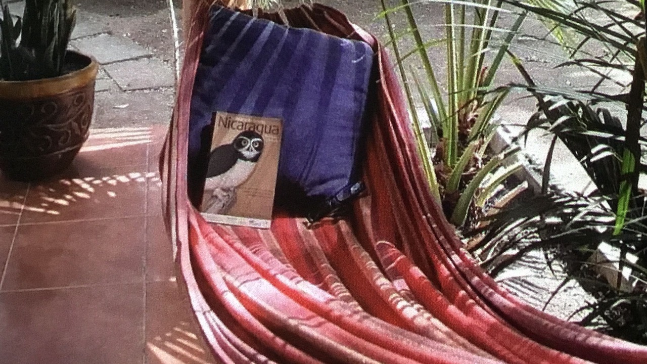 Photo of Others in Playa Marsella