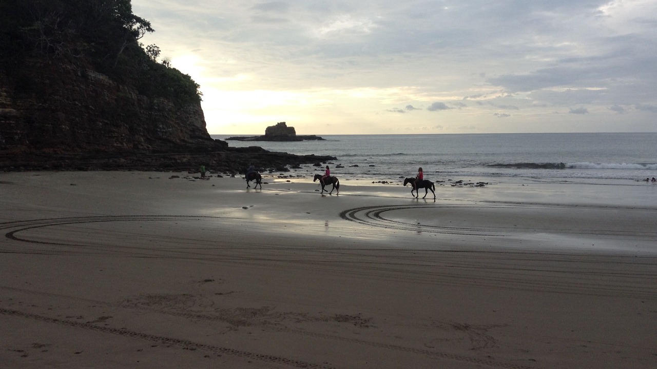 Photo of Others in Playa Marsella