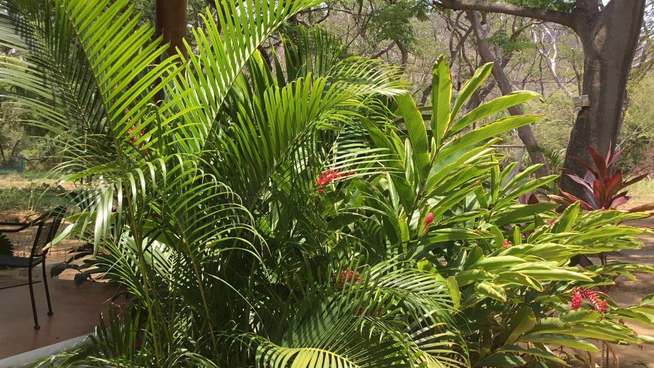 Photo of Outdoor in Playa Marsella