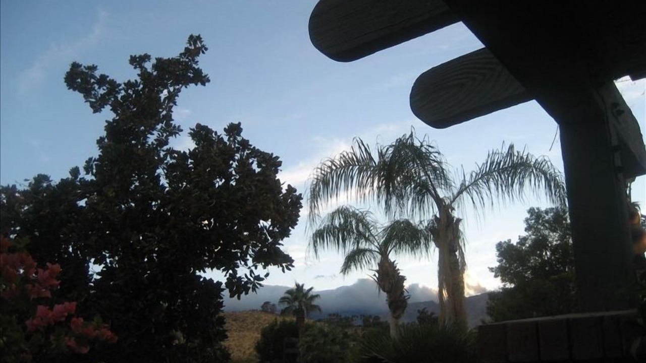 Photo of Others in Palm Springs