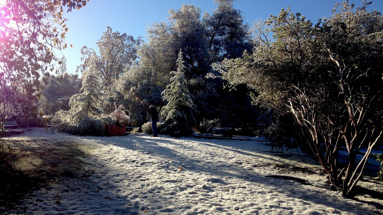 Photo of Others in Oakhurst