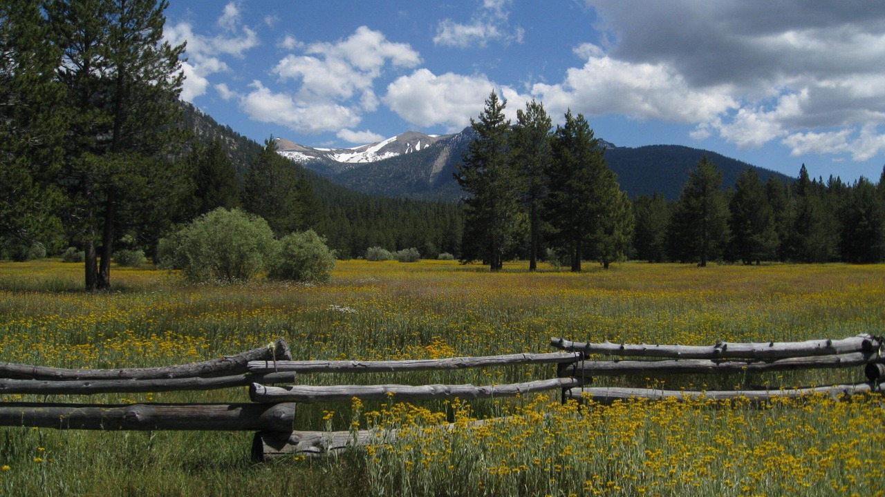 Photo of Others in Rancho Bijou