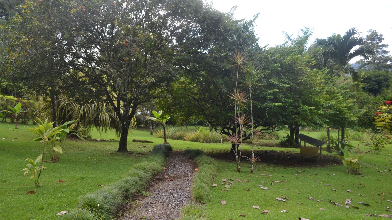 Photo of Outdoor in Quebrada La Gamba