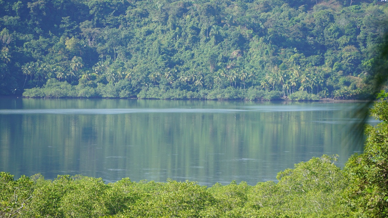 Photo of Outdoor in Quebrada La Gamba