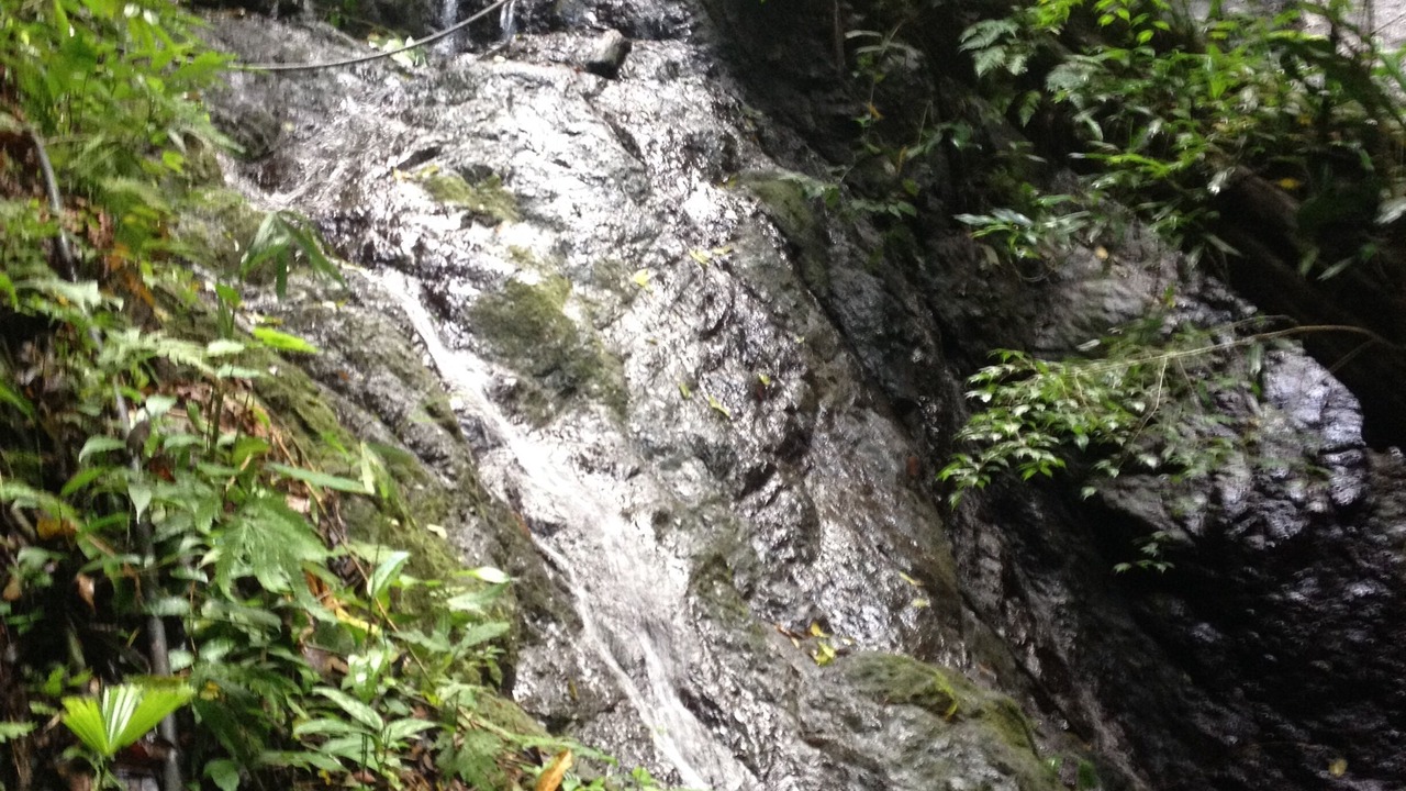 Photo of Others in Quebrada La Gamba