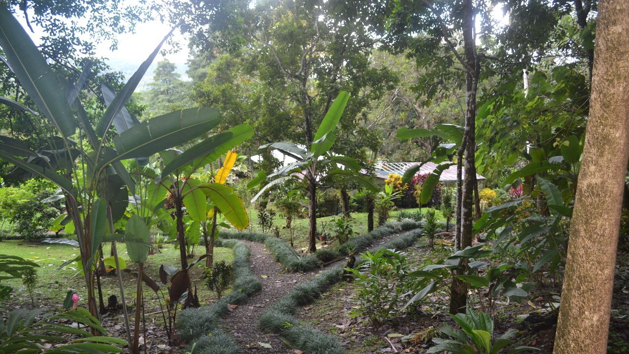 Photo of Others in Quebrada La Gamba