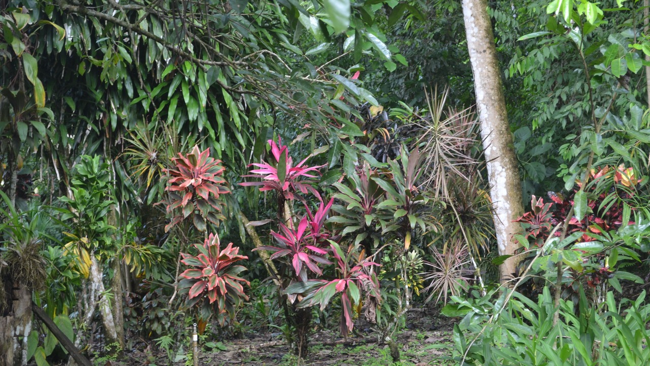 Photo of Outdoor in Quebrada La Gamba