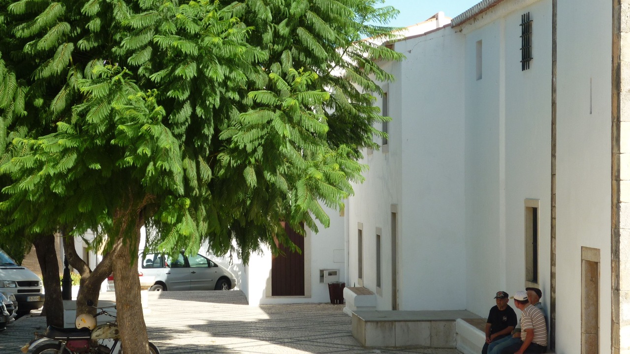 Photo of Others in Boliqueime
