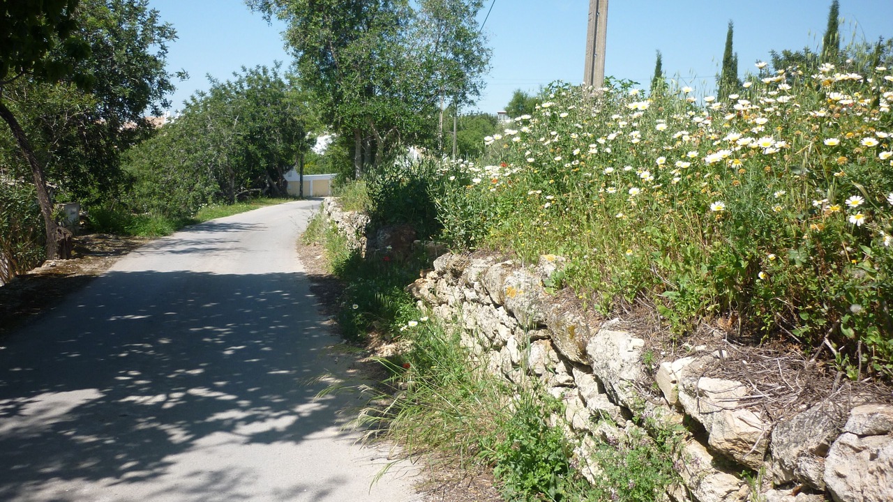 Photo of Others in Boliqueime