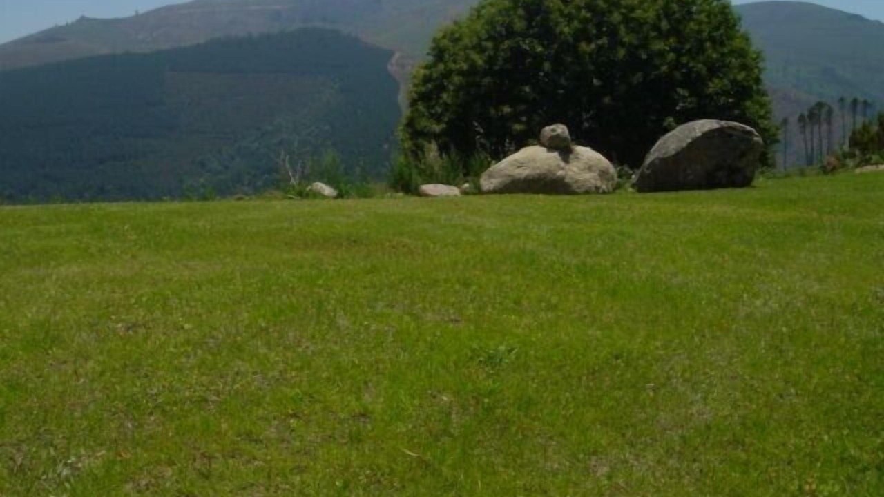 Photo of Outdoor in Lamego