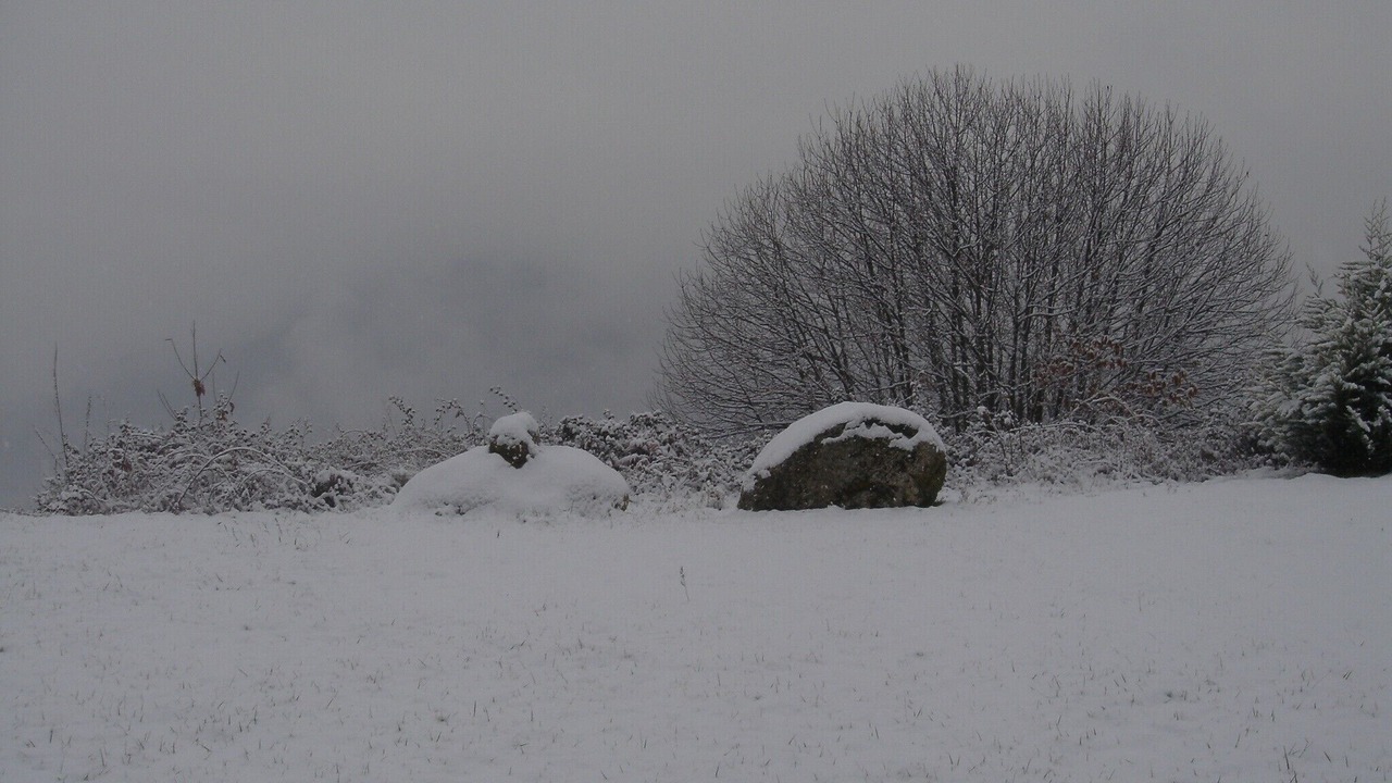 Photo of Outdoor in Lamego