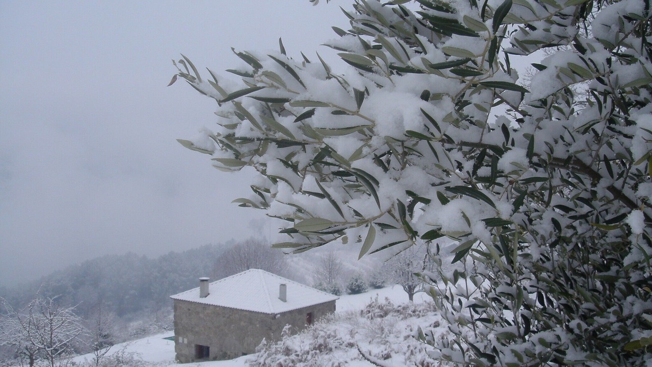 Photo of Outdoor in Lamego