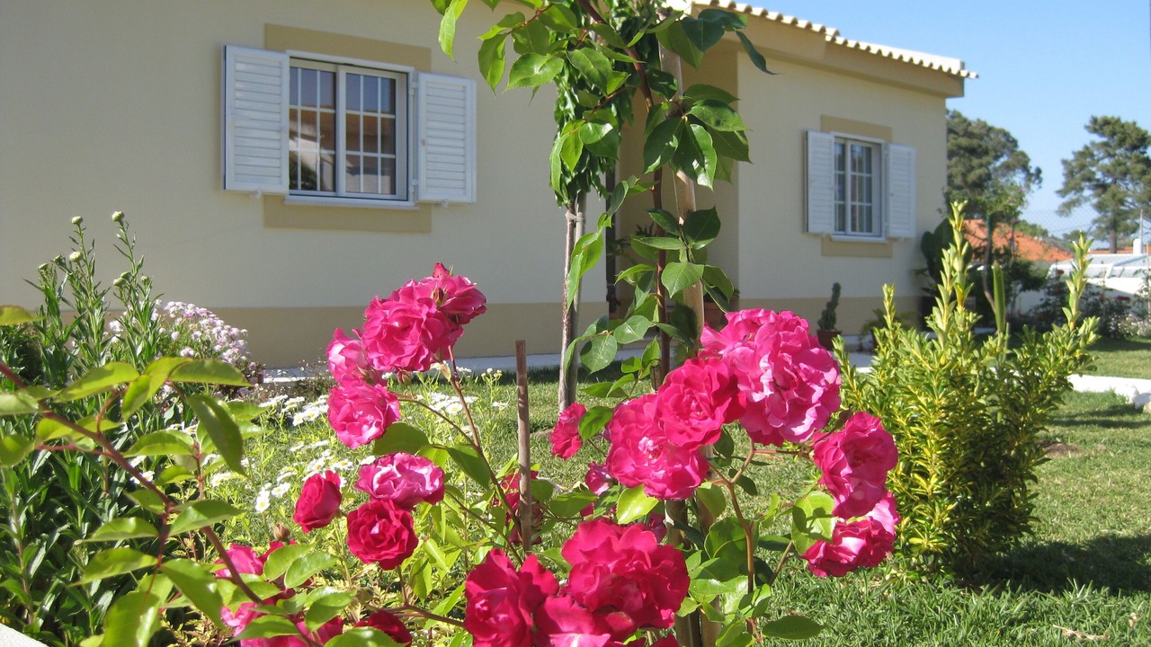 Photo of Outdoor in Carrasqueira
