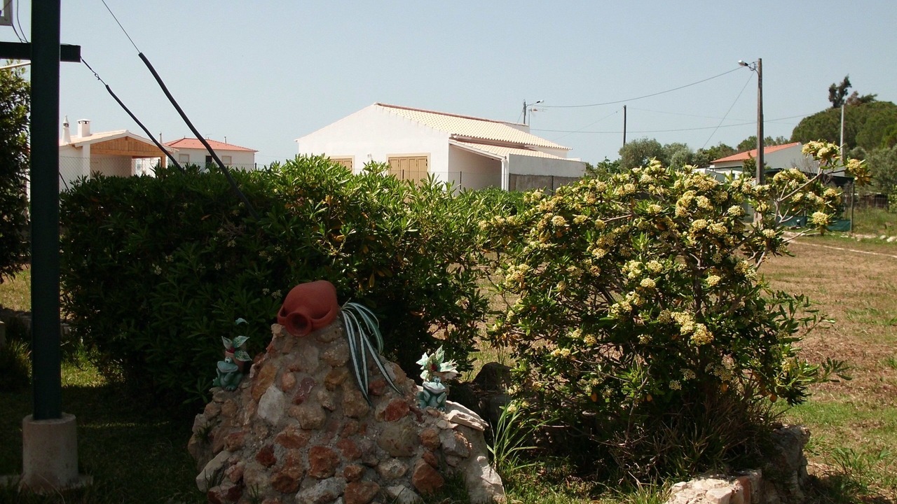 Photo of Outdoor in Alfarrobeira
