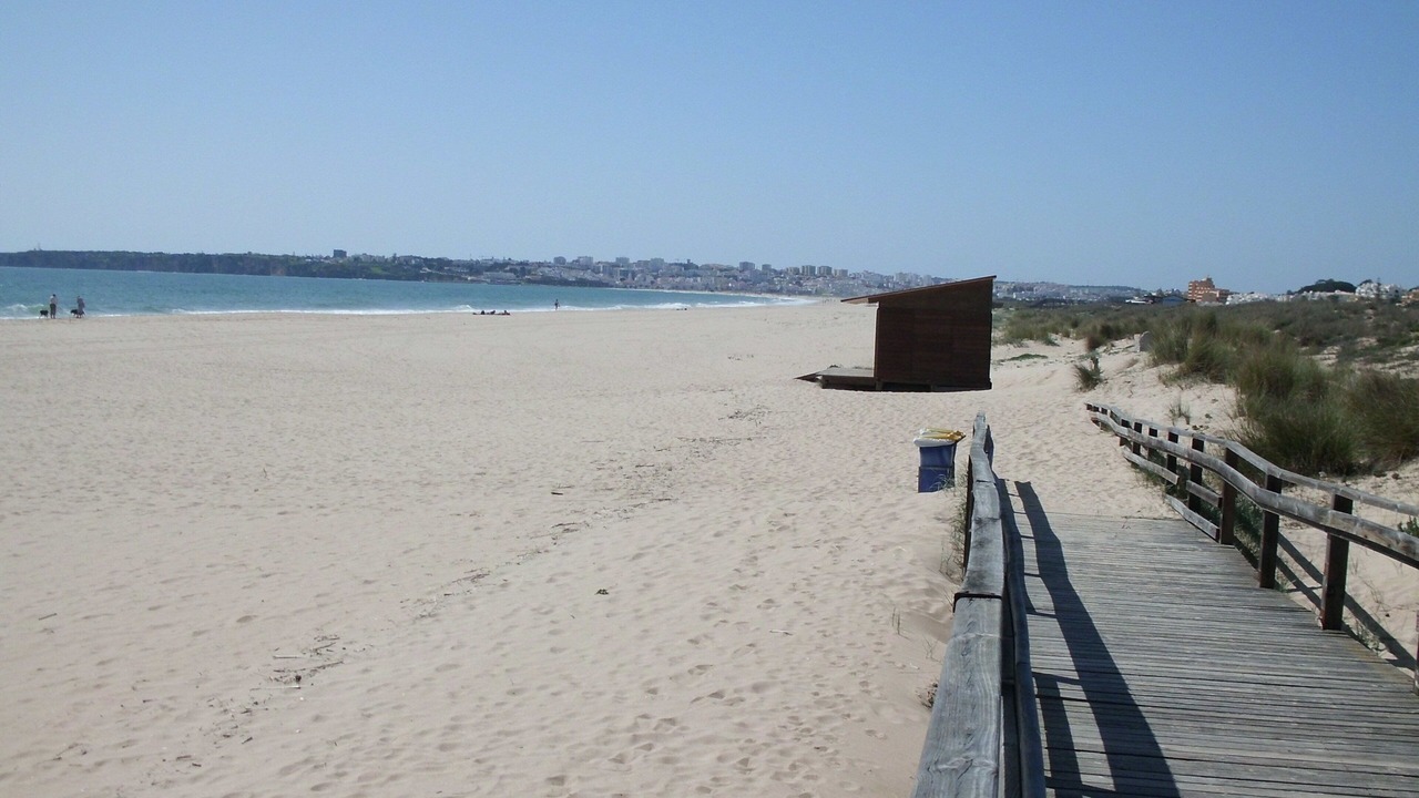 Photo of Others in Alfarrobeira