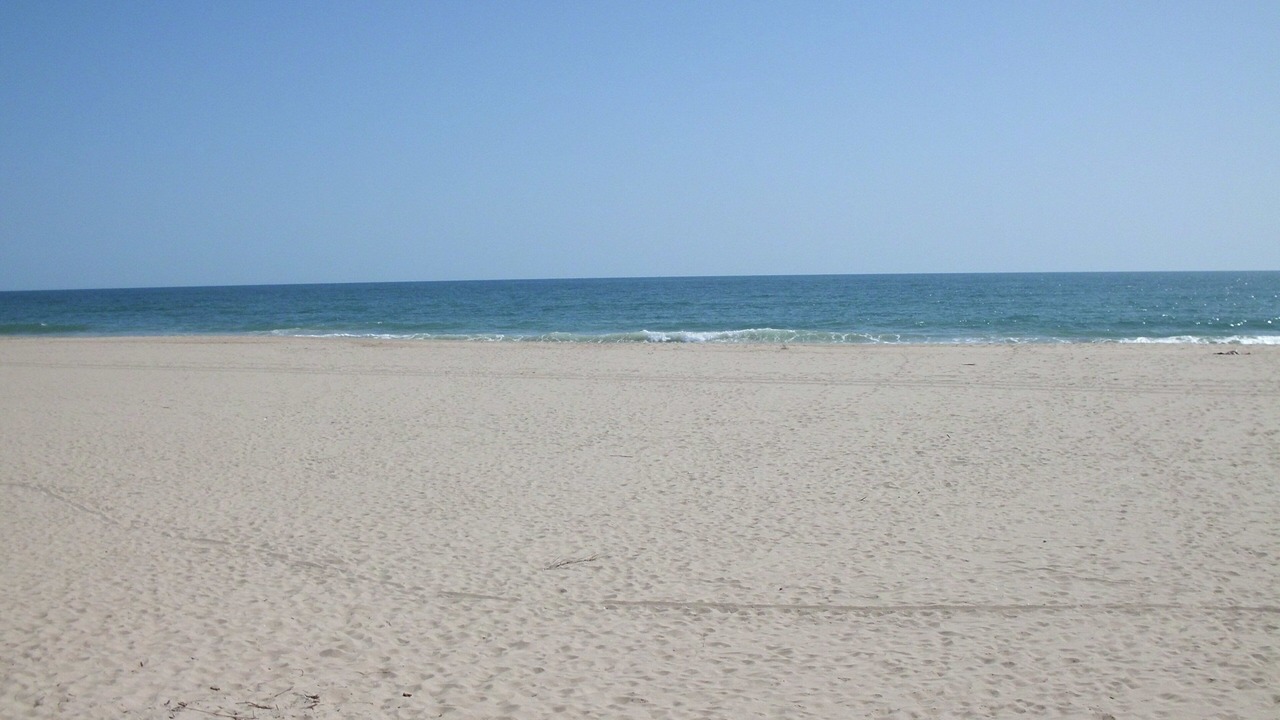 Photo of Others in Alfarrobeira