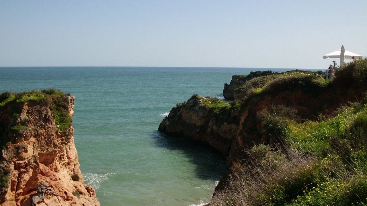 Photo of Others in Alfarrobeira