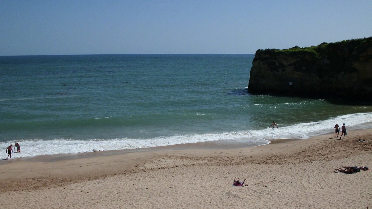 Photo of Others in Alfarrobeira