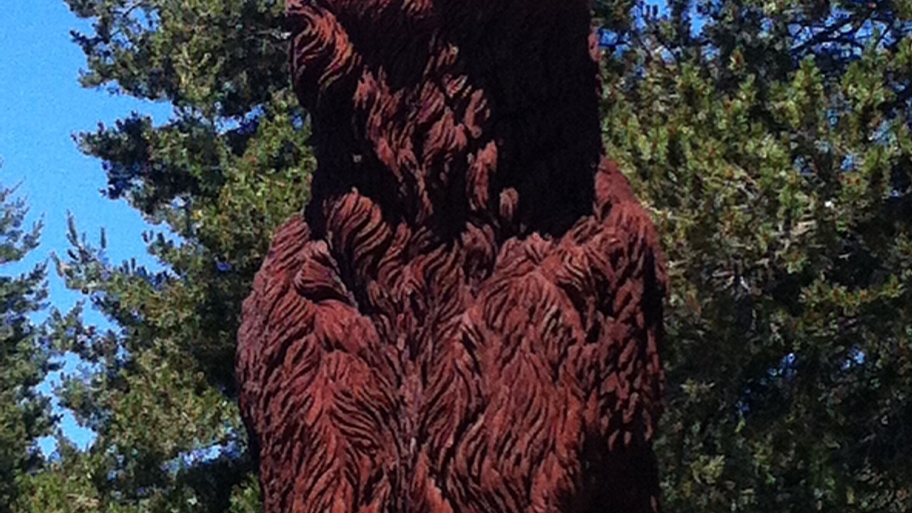 Photo of Others in Bear Valley