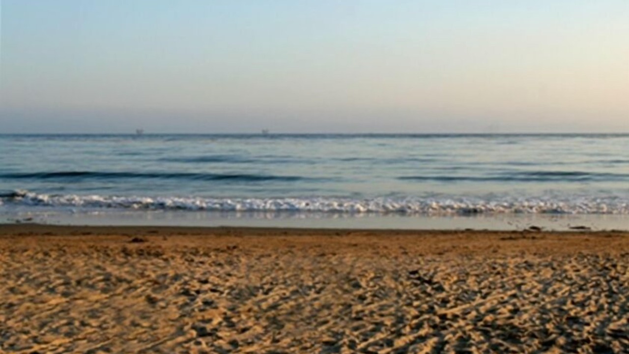 Photo of Others in Carpinteria