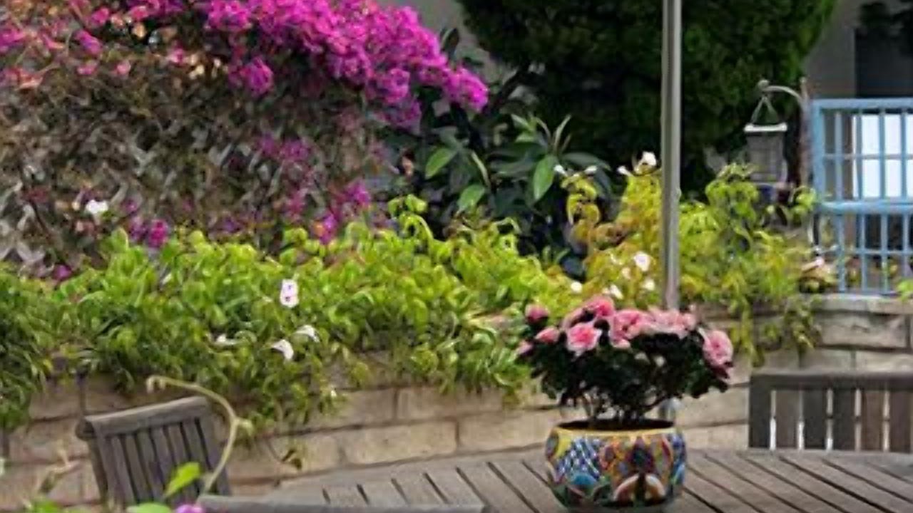 Photo of Outdoor in Carpinteria