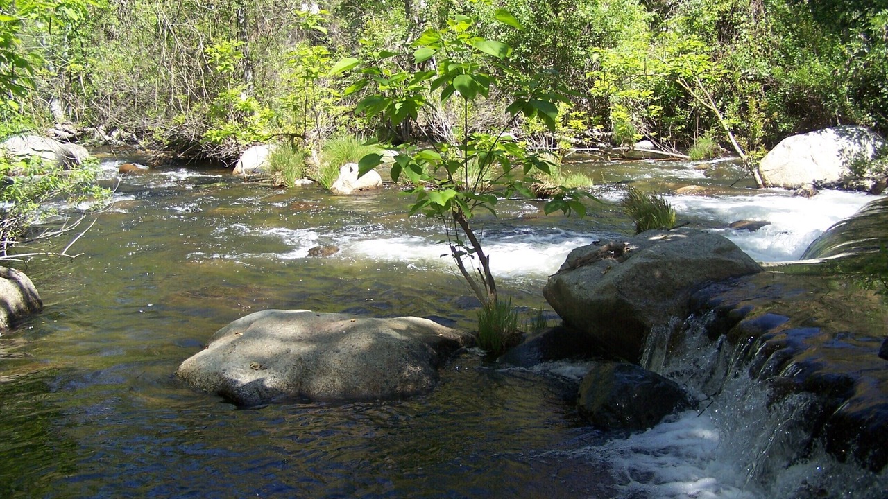 Photo of Outdoor in Kaweah