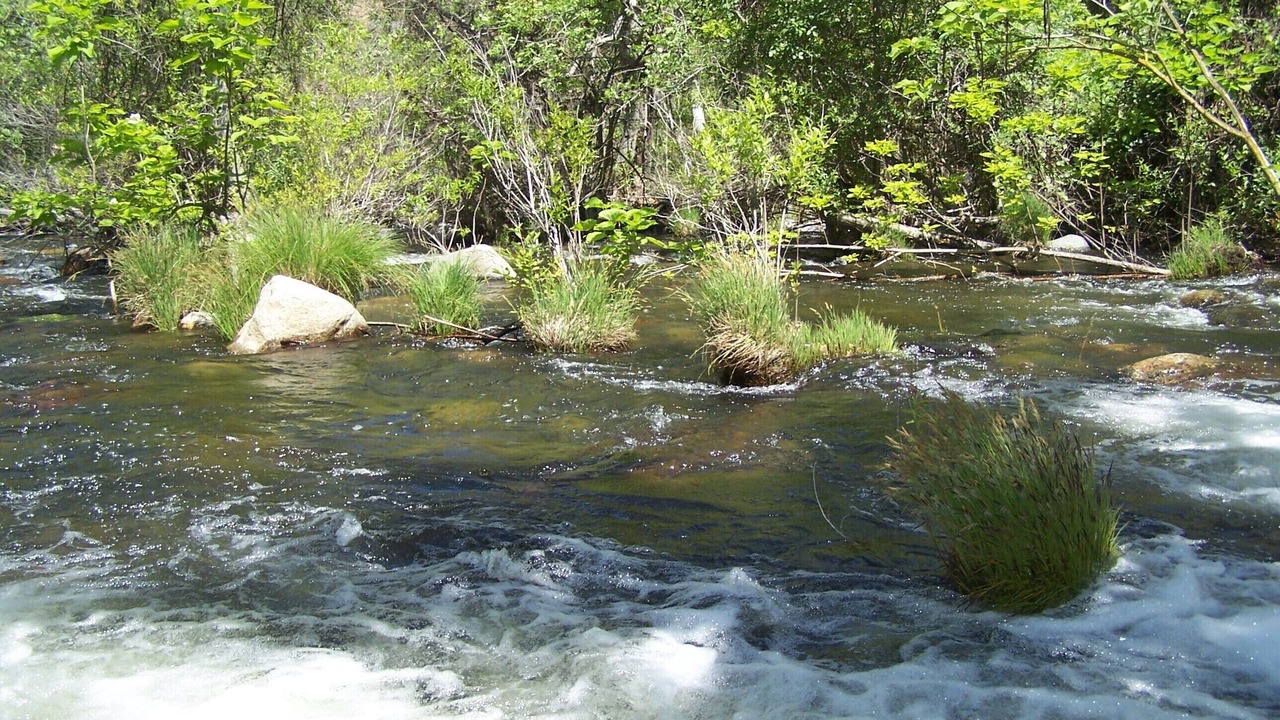 Photo of Others in Kaweah