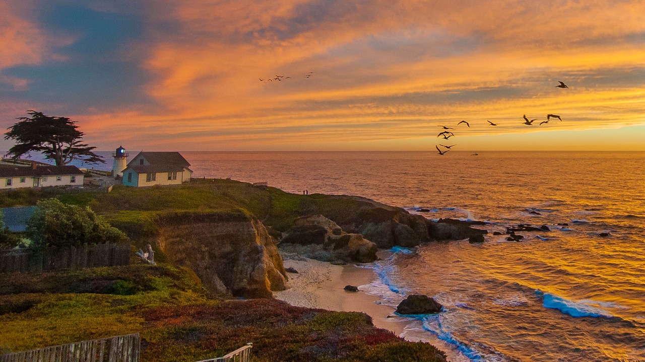 Photo of Others in Montara