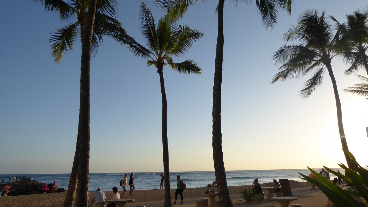 Photo of Others in Waikiki