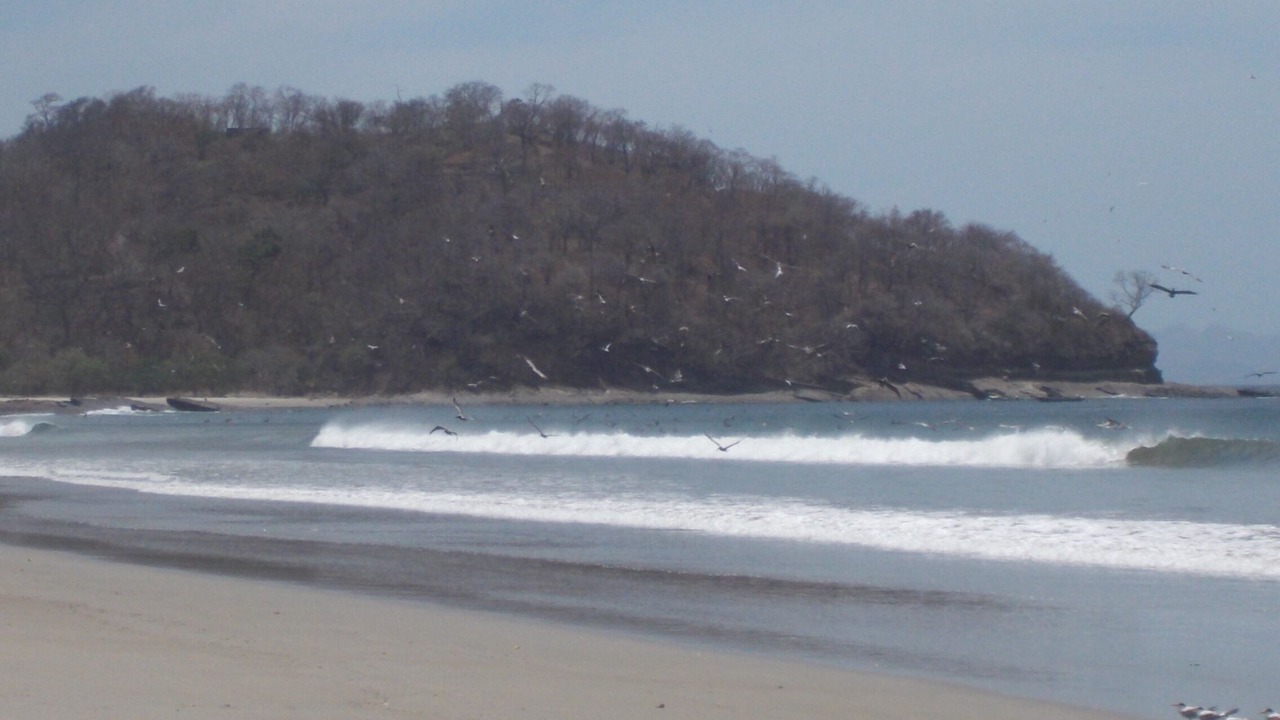 Photo of Others in Playa El Coco