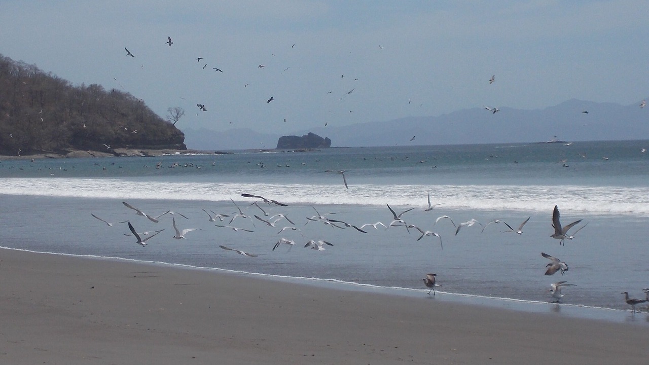 Photo of Others in Playa El Coco