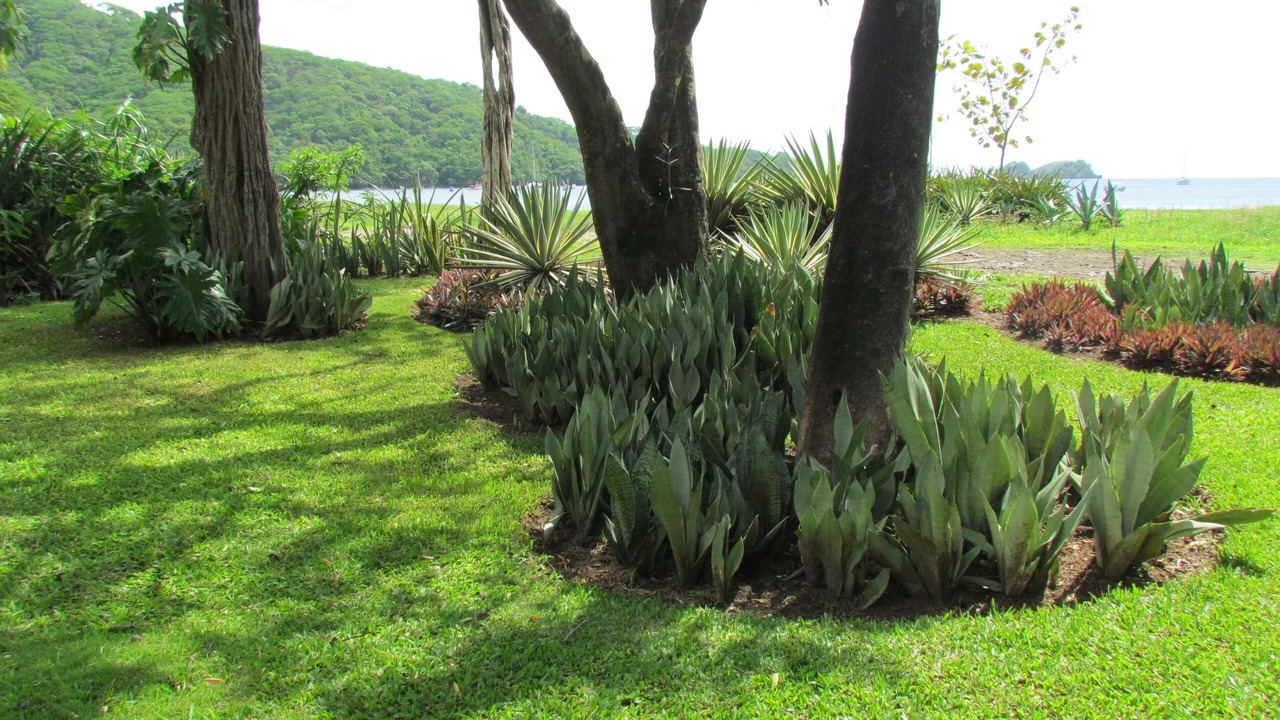 Photo of Outdoor in Playa Hermosa