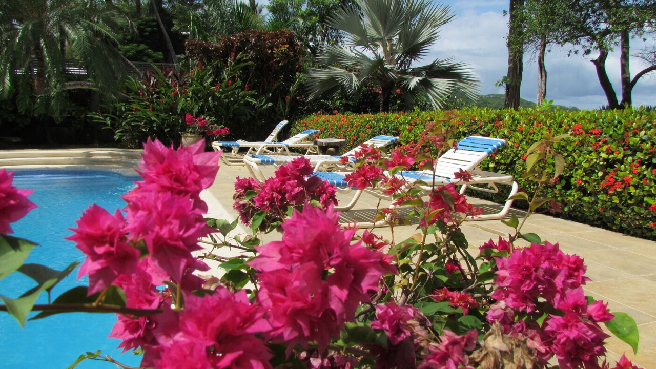 Photo of Outdoor in Playa Hermosa