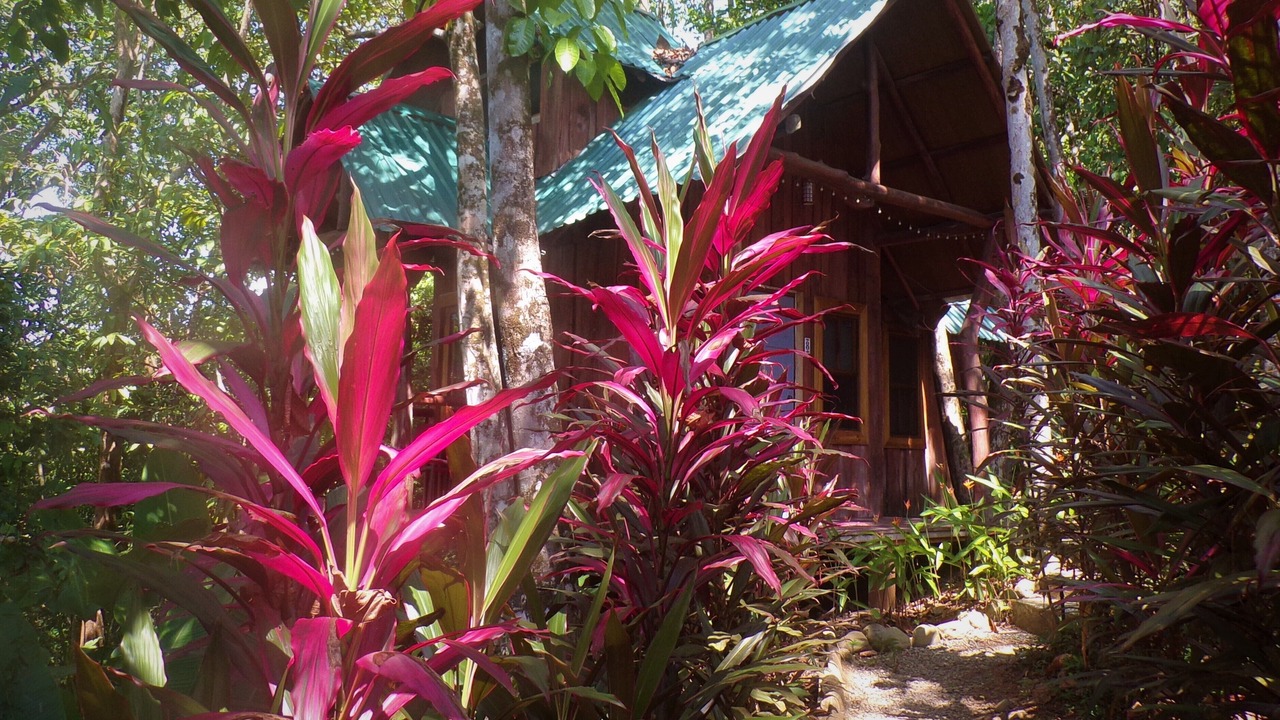 Photo of Others in Uvita