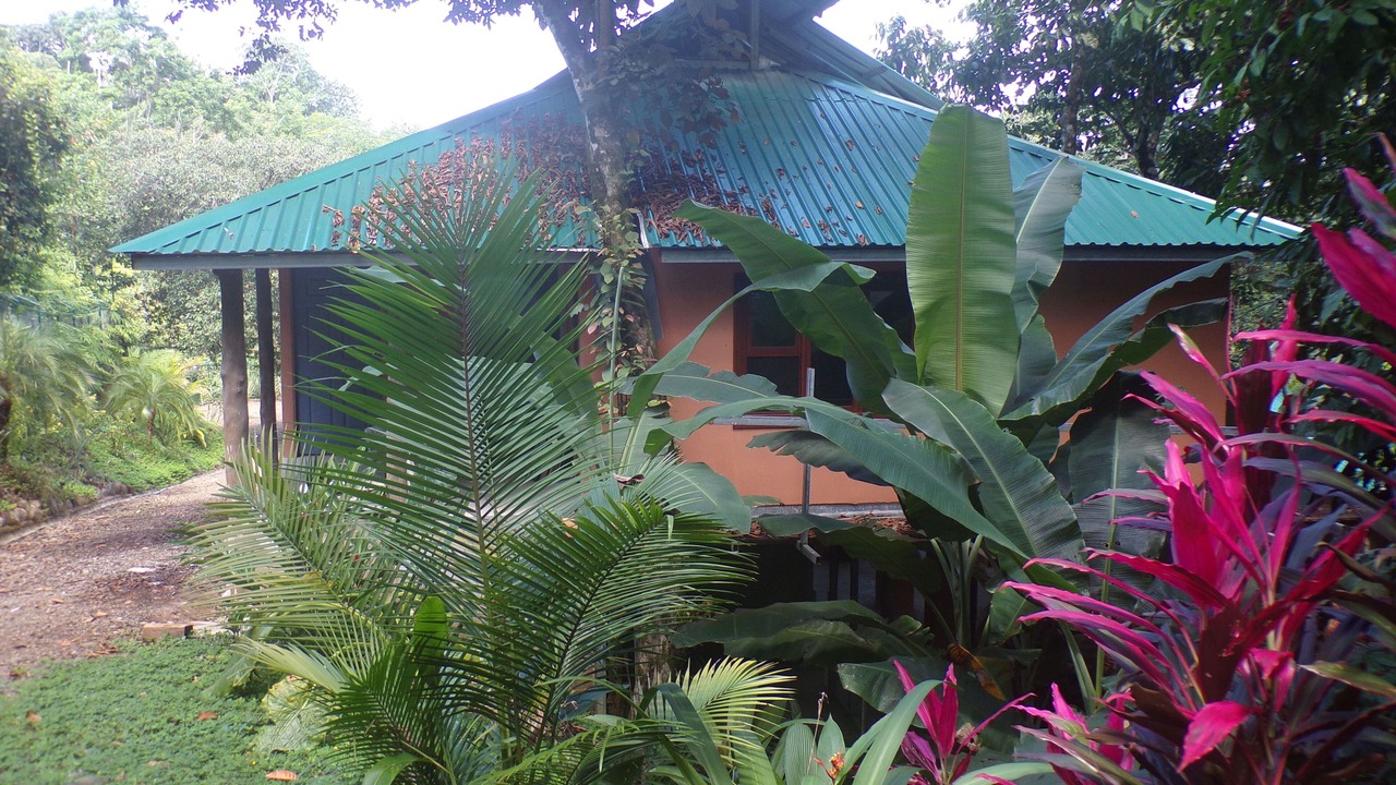 Photo of Others in Uvita