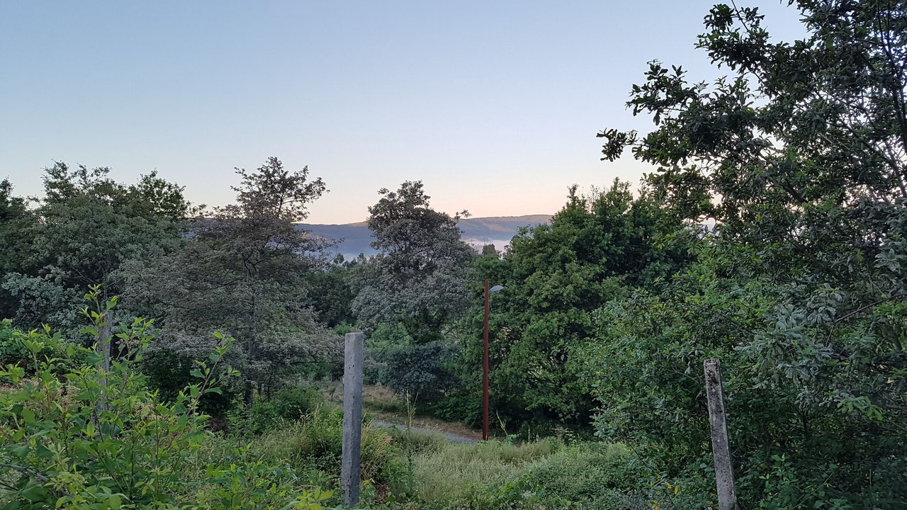 Photo of Outdoor in Macieira de Cambra