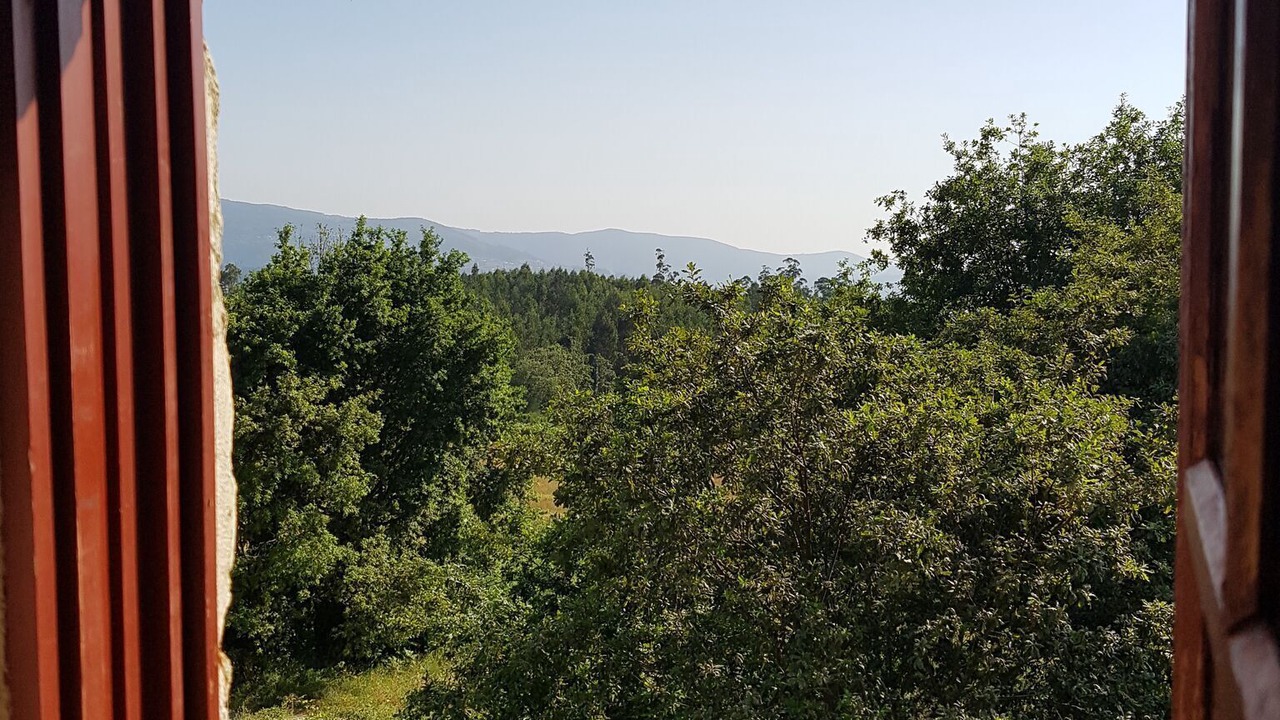 Photo of Others in Macieira de Cambra